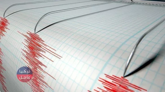 زلزال بقوة 4.5 درجات يضرب ولاية وان شرقي تركيا