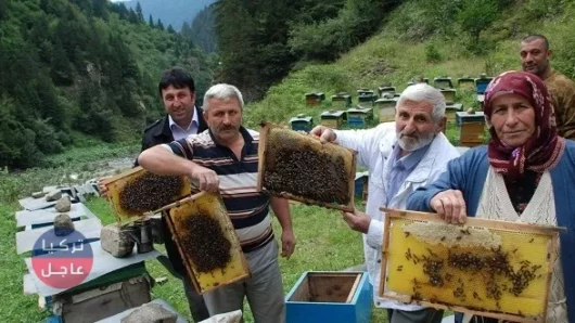 صادرات تركيا من العسل تسجل إرتفاعا كبيرا,تعرف على الدول المستورده له