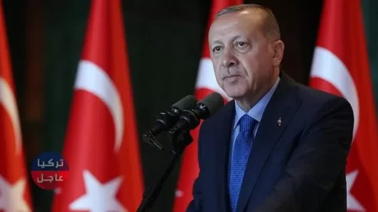 أردوغان: تركيا ستواصل السير نحو تحقيق أهدافها لأعوام 2023 و2071