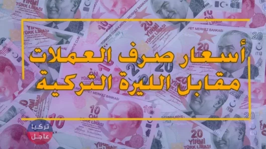 سعر صرف الليرة التركية أمام بقية العملات اليوم الأحد 02/09/2018م