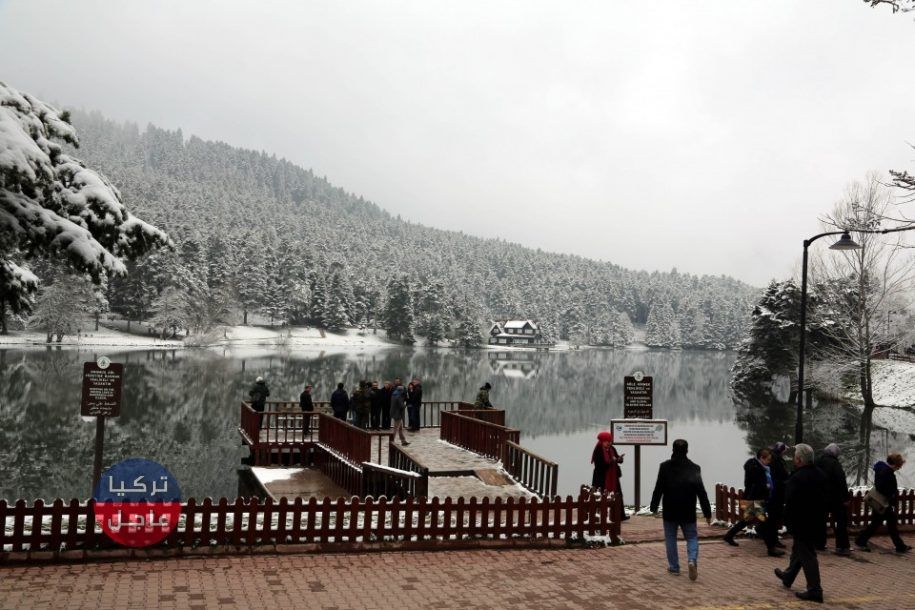 ولاية بولو التركية .. سحر وجمال يجذب هواة الطبيعة ... شاهد بالصور