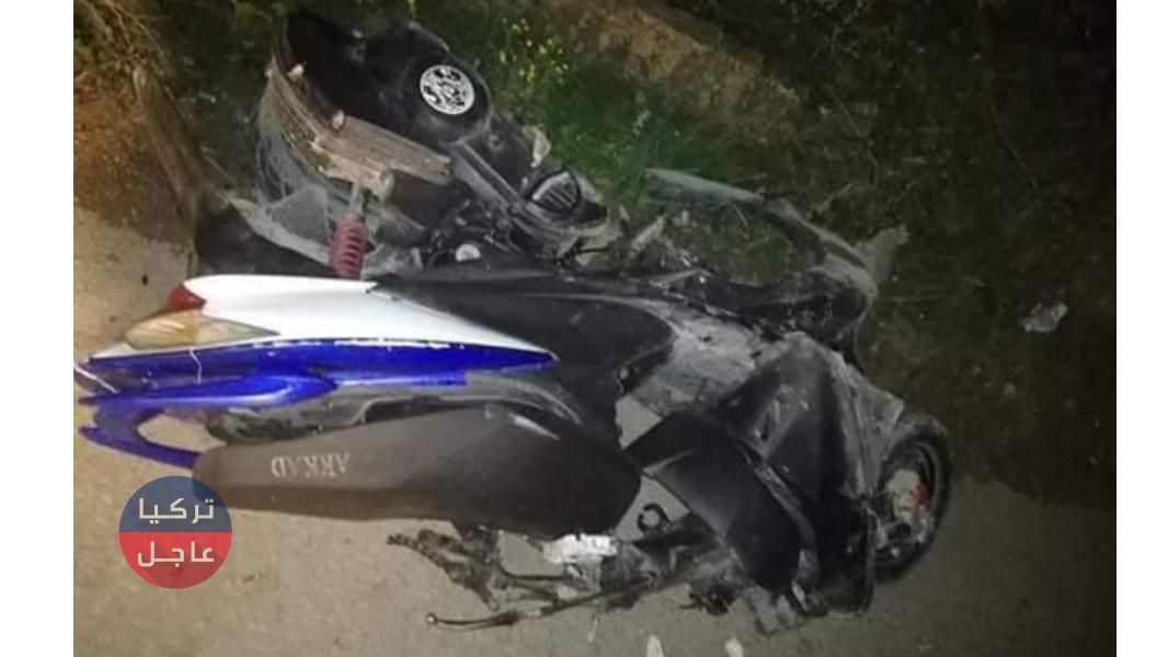 لبنان .. حصان يودي بحياة شابين سوريين (صور) ... تعرف على التفاصيل