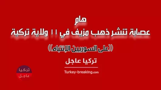 عصابة تنشر ذهب مزيف في 11 ولاية تركية ... على السوريين الإنتباه