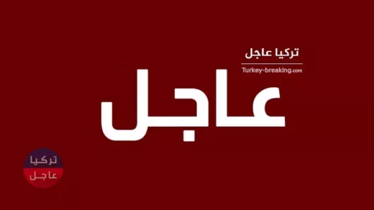 عاجل: بن علي يلدريم يسحق بقية المرشحين لمنصب بلدية اسطنبول بنتيجة كبيرة واليكم آخر الاحصائيات