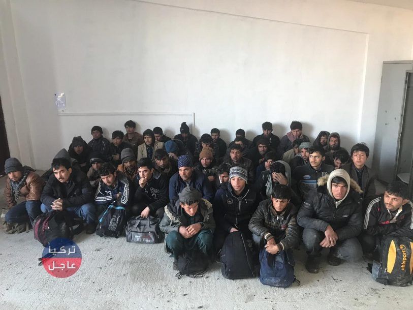 ضبط 67 مهاجراً غير نظامي في ولاية وان ..تعرف على جنسياتهم ضبط 67 مهاجراً غير نظامي في ولاية وان ..تعرف على جنسياتهم