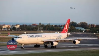إلغاء رحلة طيران داخل تركيا بسبب طائر ... نعرف على التفاصيل