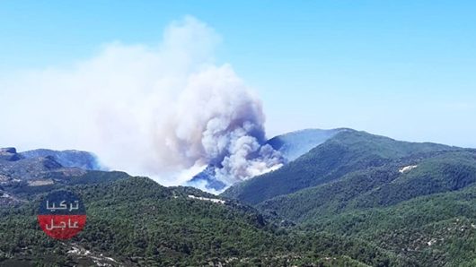 حريق كبير في إحدى غابات ولاية موغلا جنوب غرب تركيا والسلطات تتدخل بمروحيات