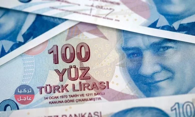 الميزانية التركية تحقق فائضًا في شهر تموز/يوليو الماضي