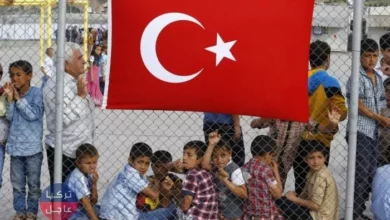 عدد السوريين في الولايات التركية 2020