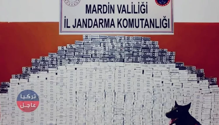 الجندرما التركية تقوم بعملية أمنية في ماردين وهذه نتائجها