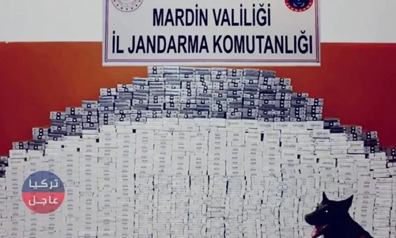 الجندرما التركية تقوم بعملية أمنية في ماردين وهذه نتائجها
