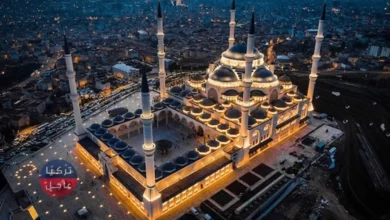 متى سيتم فتح المساجد في تركيا