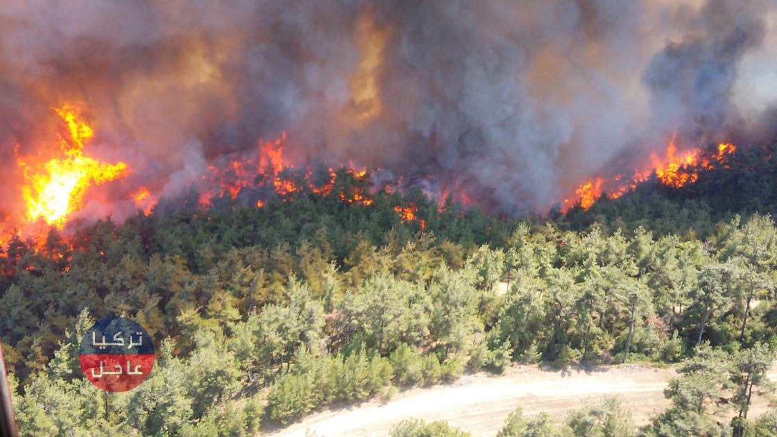 حريق ضخم في جان قلعة وإغلاق للمضيق أمام السفن وتجهزات لإفراغ قرية بالكامل (فيديو)