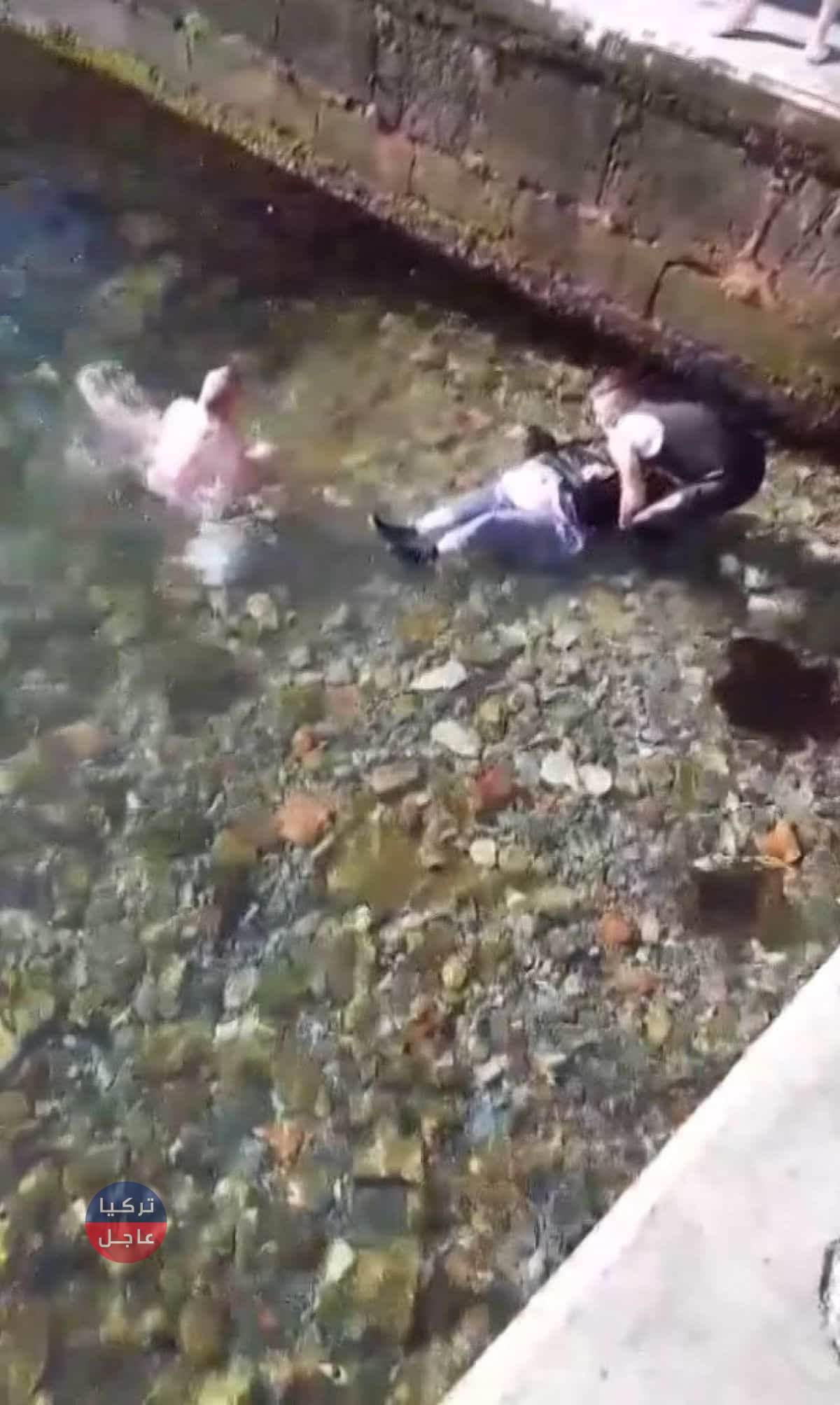 اسطنبول.. سقوط امرأة في البحر وسائح ايراني ينقذها اسطنبول.. سقوط امرأة في البحر وسائح ايراني ينقذها