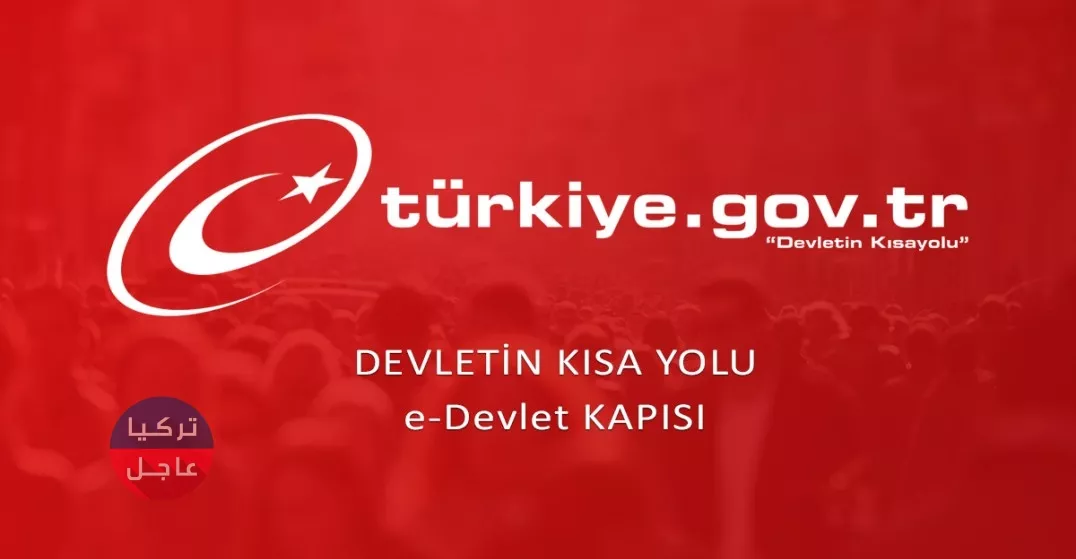 اي دولات e devlet