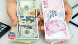 100 دولار كم تساوي ليرة تركية.. الليرة التركية مقابل الدولار مع نهاية يوم الأربعاء