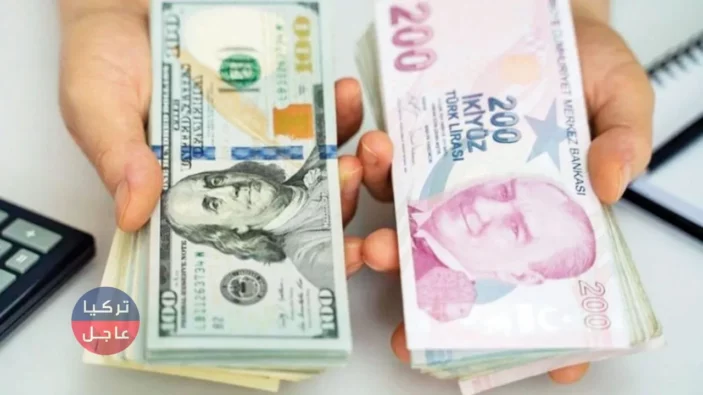 100 دولار كم ليرة تركية تساوي.. الدولار مقابل الليرة التركية اليوم الأربعاء