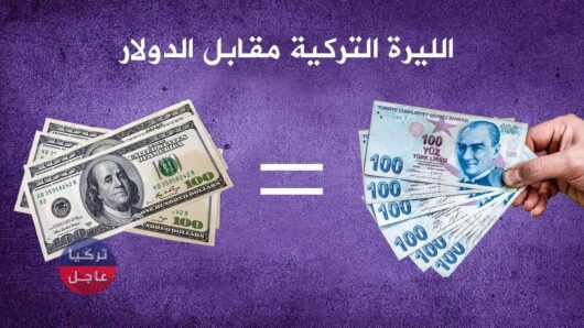 الليرة التركية مقابل الدولار.. 100 دولار كم ليرة تركية تساوي اليوم الإثنين