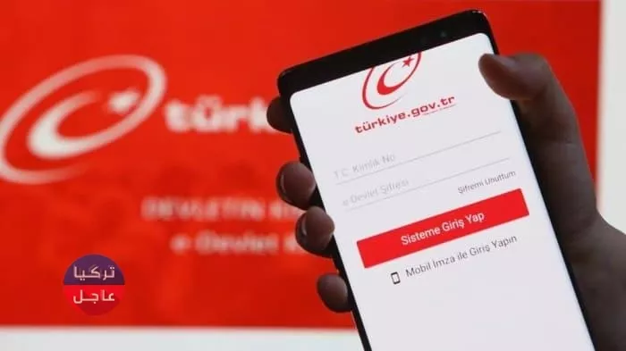 تركيا تفتح التقديم على الجنسية التركية عن طريق اي دولات