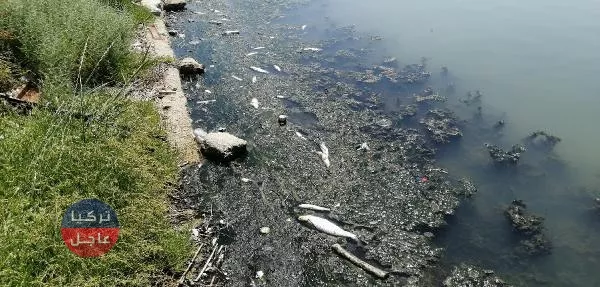 روائح كريهة وتحول للون الأسود لأهم مصادر مياه الشرب في إسطنبول (صور) روائح كريهة وتحول للون الأسود لأهم مصادر مياه الشرب في إسطنبول (صور)