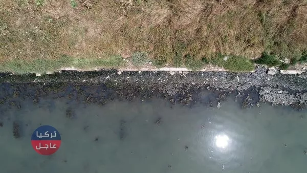 روائح كريهة وتحول للون الأسود لأهم مصادر مياه الشرب في إسطنبول (صور)