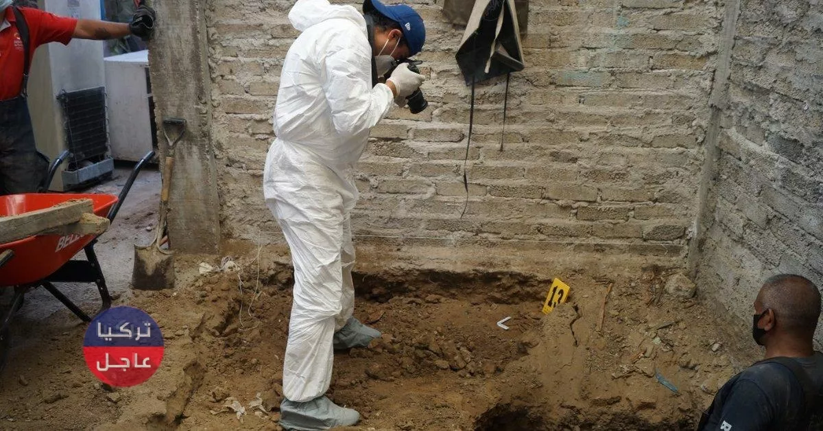 العثور على 3 آلاف و 787 عظمة بشرية في منزل سفاح معظمها كانت لنساء كان يأكلهن العثور على 3 آلاف و 787 عظمة بشرية في منزل سفاح معظمها كانت لنساء كان يأكلهن