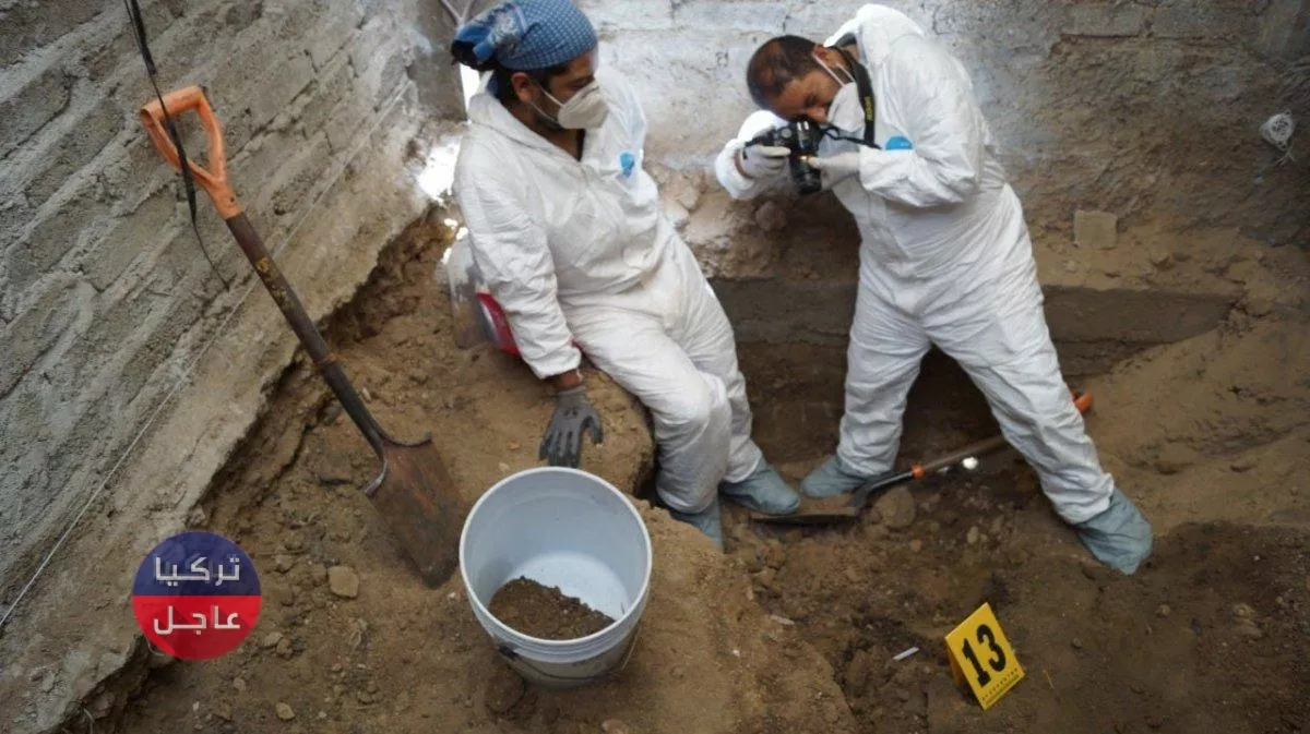 العثور على 3 آلاف و 787 عظمة بشرية في منزل سفاح معظمها كانت لنساء كان يأكلهن العثور على 3 آلاف و 787 عظمة بشرية في منزل سفاح معظمها كانت لنساء كان يأكلهن