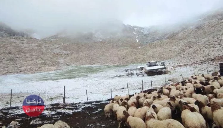 الثلوج تفاجئ ولاية أنطاليا جنوبي تركيا