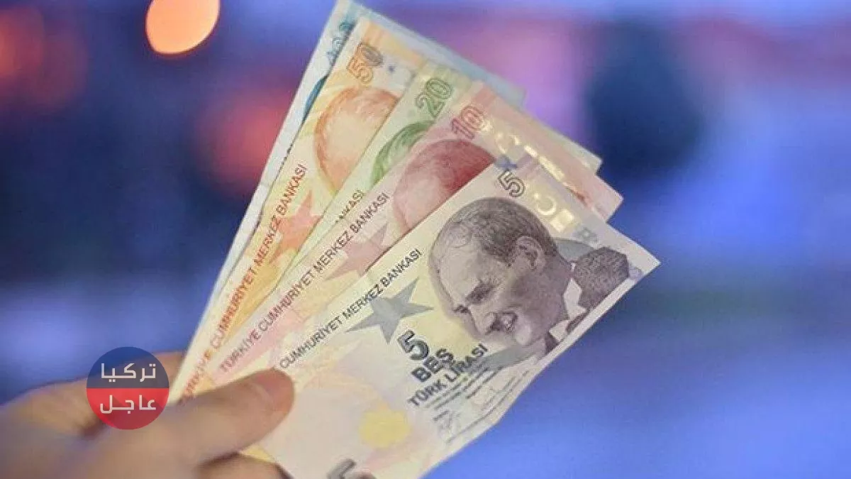 سعر الدولار واليورو مقابل الليرة التركية في تركيا اليوم الثلاثاء 29/06/2021