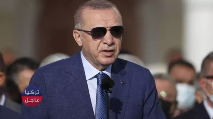 أردوغان: عازمون على دخول 2023 كدولة قوية مستقلة
