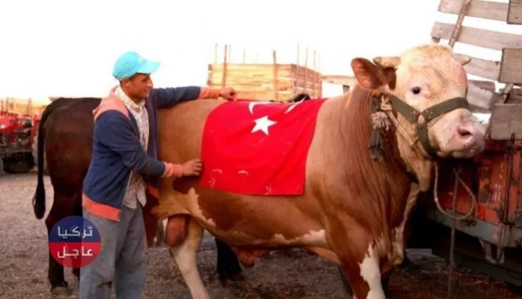 عيد الاضحى 2021 تركيا عشر أيام عطلة