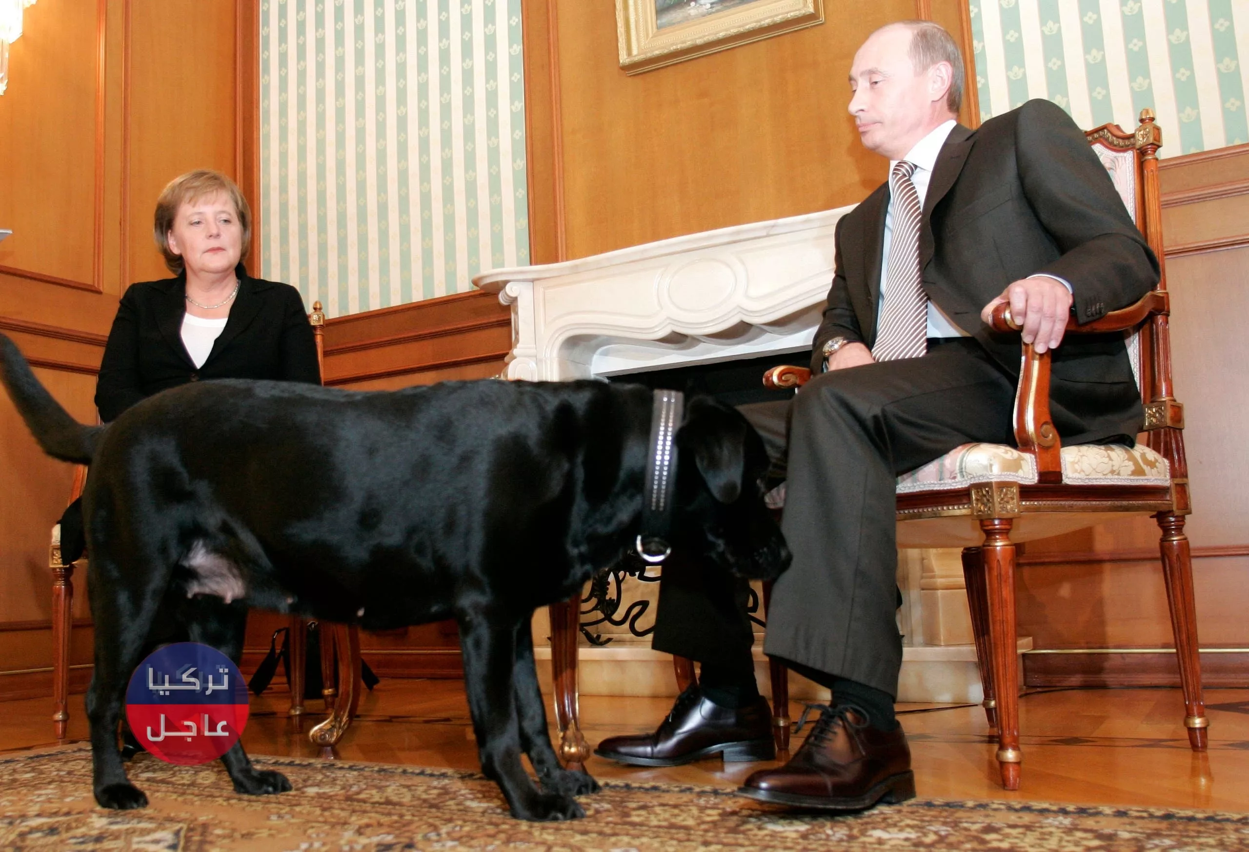 باقة ورد واتصال مفاجئ.. ميركل و بوتن يتعرضان لاحراج كبير "فيديو"