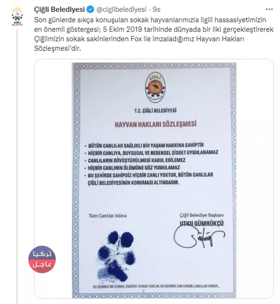 خمس بلديات في تركيا تابعة للمعارضة ترفض دعوات أردوغان لجمع الكلاب الضالة خمس بلديات في تركيا تابعة للمعارضة ترفض دعوات أردوغان لجمع الكلاب الضالة