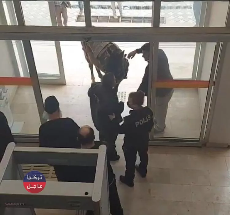 مواطن تركي يقتحم مبنى البلدية بحصانه بعد مصادرة (طنبره) مواطن تركي يقتحم مبنى البلدية بحصانه بعد مصادرة (طنبره)