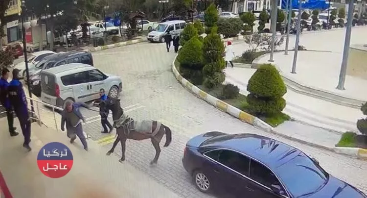 مواطن تركي يقتحم مبنى البلدية بحصانه بعد مصادرة (طنبره) مواطن تركي يقتحم مبنى البلدية بحصانه بعد مصادرة (طنبره)