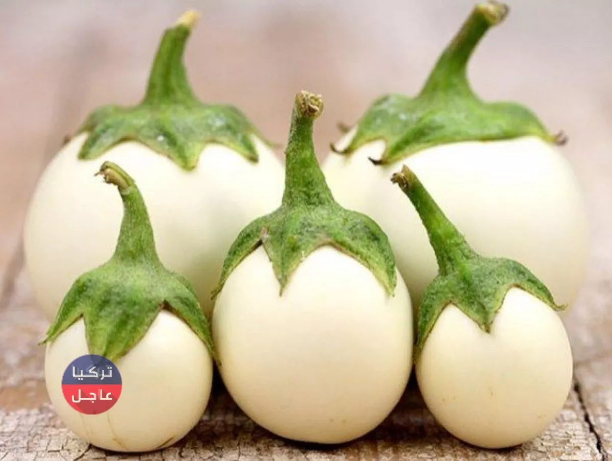 ما هي زهرة البيضة وما هي فوائدها؟ الباذنجان الأبيض ما هي زهرة البيضة وما هي فوائدها؟ الباذنجان الأبيض