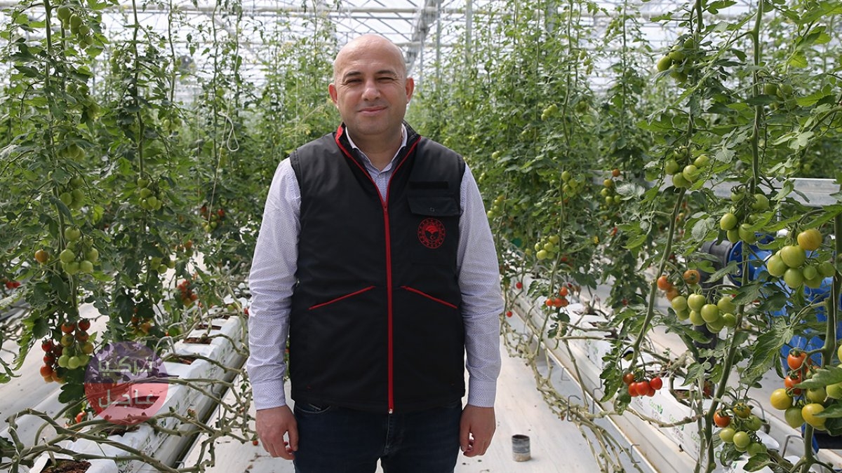 انخفاض كبير قادم على أسعار الخضروات في تركيا