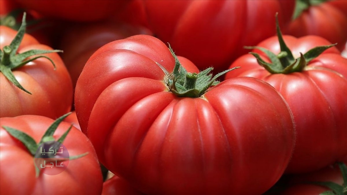 انخفاض كبير قادم على أسعار الخضروات في تركيا