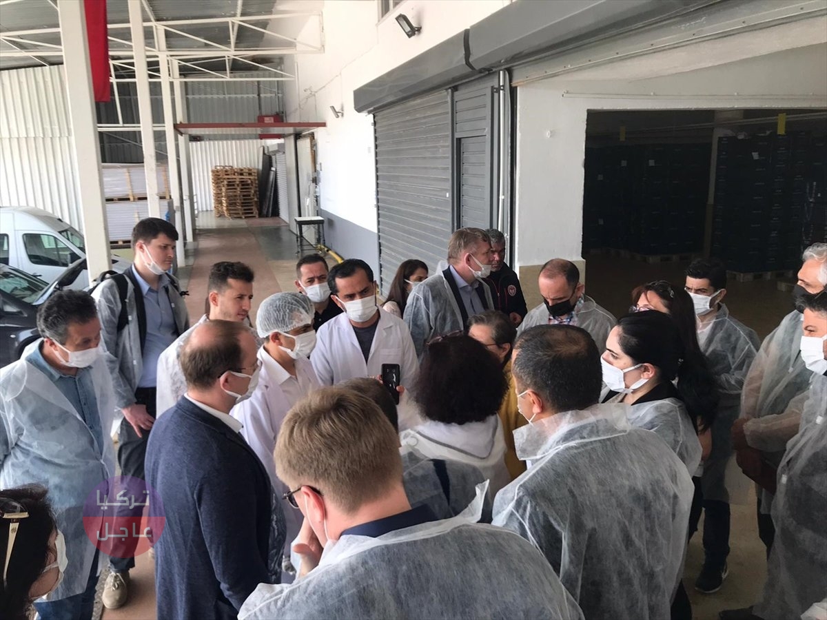 روسيا ترفع حظر استيراد الفواكه والخضروات من تركيا.. هل ترتفع الأسعار؟