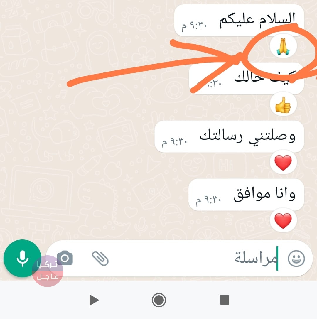 اطلاق ميزة واتساب الجديدة رسميا حدث التطبيق وادخل الى الاعدادات لتفعيلها