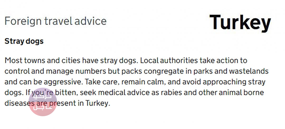 بريطانيا تحذر من الكلاب الضالة في تركيا بريطانيا تحذر من الكلاب الضالة في تركيا