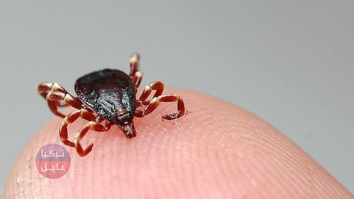 تحذير من نشر الغسيل في الهواء الطلق خلال هذه الأيام في تركيا تحذير من نشر الغسيل في الهواء الطلق خلال هذه الأيام في تركيا