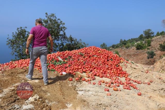 أطنان من الخضروات الطازجة ترمى الى القمامة تثير الرأي العام في تركيا أطنان من الخضروات الطازجة ترمى الى القمامة تثير الرأي العام في تركيا