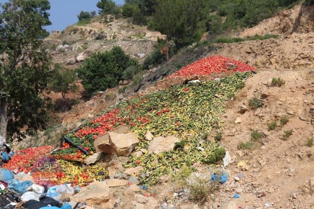 أطنان من الخضروات الطازجة ترمى الى القمامة تثير الرأي العام في تركيا أطنان من الخضروات الطازجة ترمى الى القمامة تثير الرأي العام في تركيا