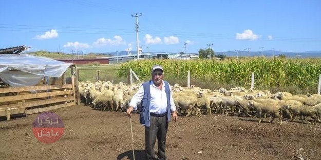 وظيفة سهلة بسيطة وبراتب 10 آلاف ليرة تركية سارعوا لاغتنام الفرصة وظيفة سهلة بسيطة وبراتب 10 آلاف ليرة تركية سارعوا لاغتنام الفرصة