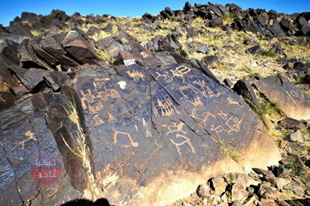 اكتشاف رائع في منغوليا! فيما يلي النتائج الجديدة للأتراك اكتشاف رائع في منغوليا! فيما يلي النتائج الجديدة للأتراك