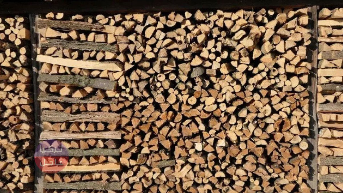ألمانيا وأزمة الطاقة! زيادة واضحة في سرقة الأخشاب في مشهد يبين الحضارة الهشة ألمانيا وأزمة الطاقة! زيادة واضحة في سرقة الأخشاب في مشهد يبين الحضارة الهشة