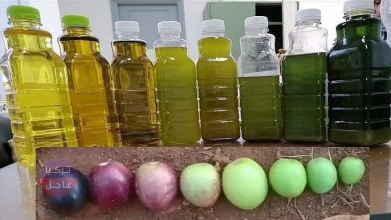 زيت الزيتون المغشوش وزيت الزيتون الأصلي! إليكم 4 طرق علمية مضمونة لكشفها زيت الزيتون المغشوش وزيت الزيتون الأصلي! إليكم 4 طرق علمية مضمونة لكشفها