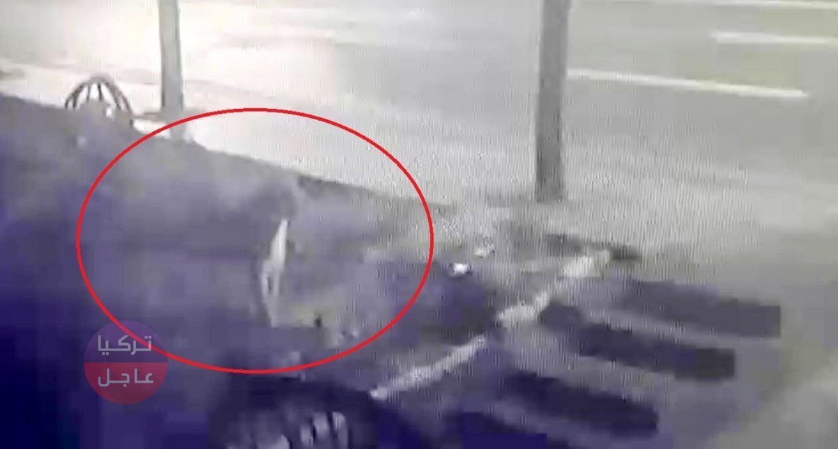 رصد أسد يتجول في مدينة تركية بعد هروبه من حديقة الحيوانات رصد أسد يتجول في مدينة تركية بعد هروبه من حديقة الحيوانات