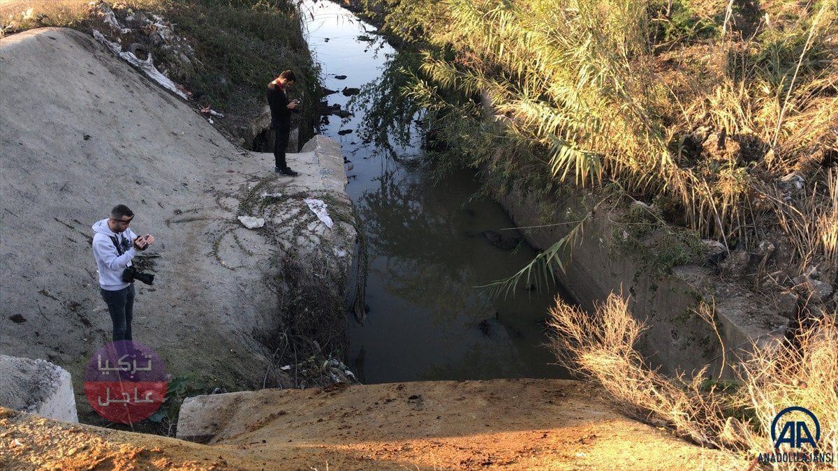 العثور على كميات كبيرة من عظام ورؤوس الحمير العثور على كميات كبيرة من عظام ورؤوس الحمير
